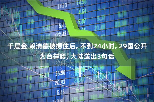 千层金 赖清德被摁住后, 不到24小时, 29国公开为台撑腰, 大陆送出3句话